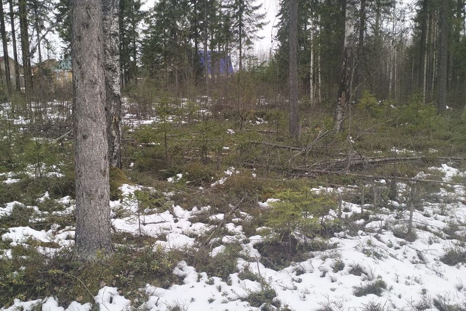 земля г Сыктывкар пгт Краснозатонский городской округ Сыктывкар, 1-я линия фото 6