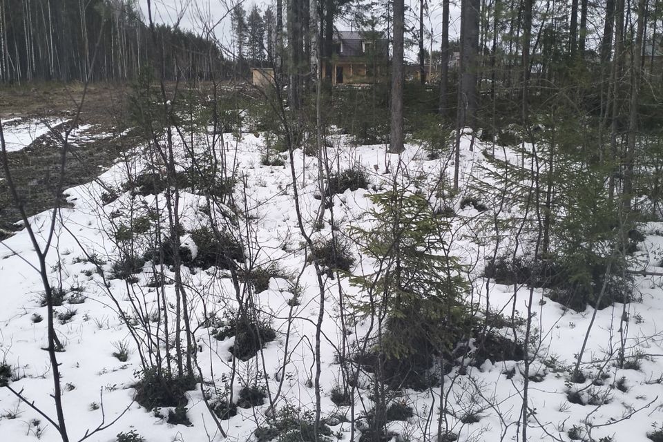 земля г Сыктывкар пгт Краснозатонский городской округ Сыктывкар, 1-я линия фото 9