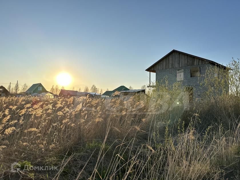 земля г Тюмень городской округ Тюмень, садовое товарищество Липовый Остров фото 5