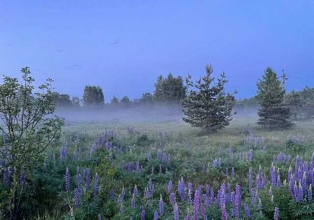 муниципальное образование Кипревское, Киржач фото