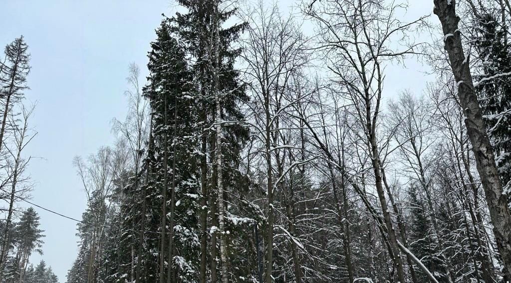 земля г Химки мкр Новогорск Молжаниново, Лес ТСН фото 1