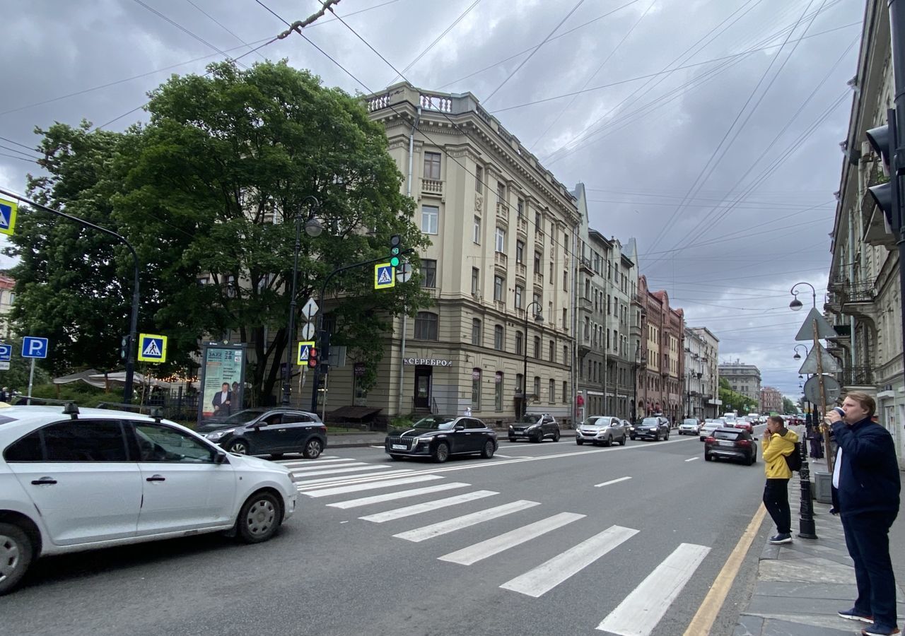 свободного назначения г Санкт-Петербург метро Петроградская пр-кт Каменноостровский 47 фото 5