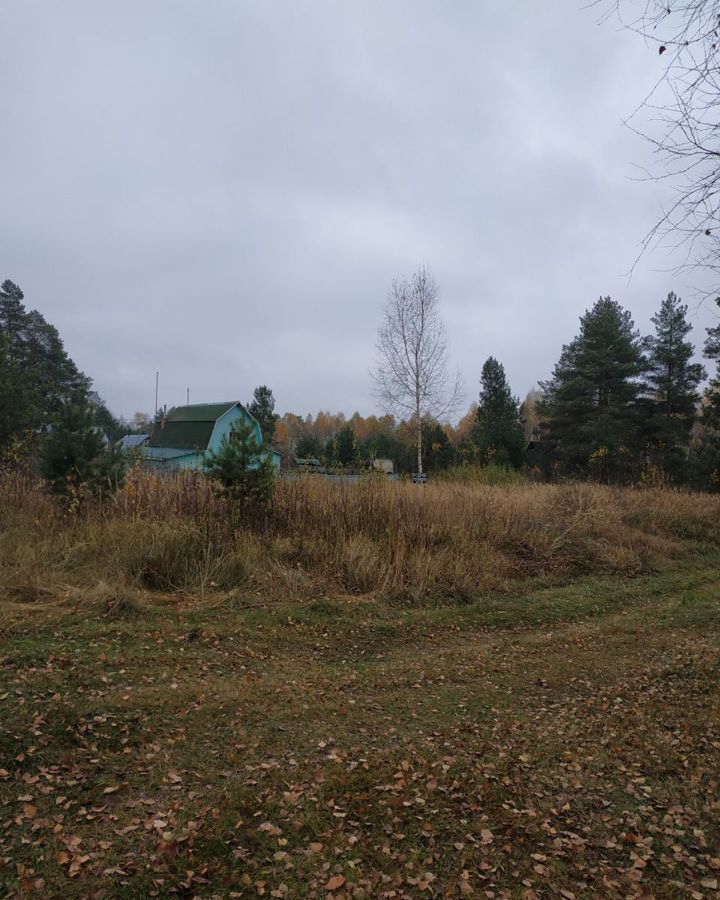 земля городской округ Егорьевск п Рязановский снт Сокол Белоомут фото 4