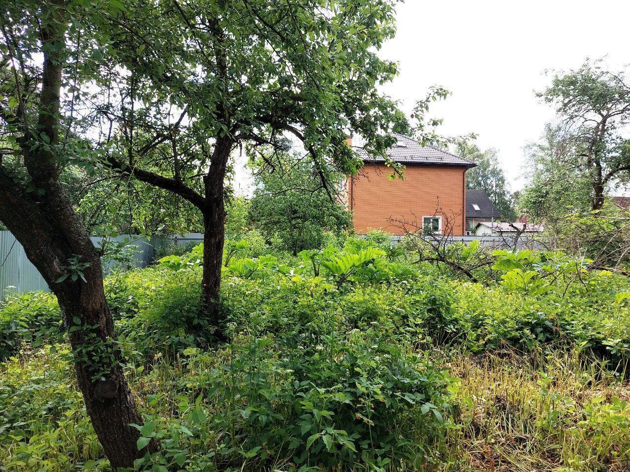 земля г Раменское ул Новосельская Раменский городской округ фото 8