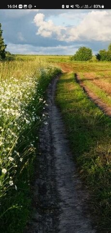 земля ул Воробьёвых сельское поселение Красный Яр, Мирный фото