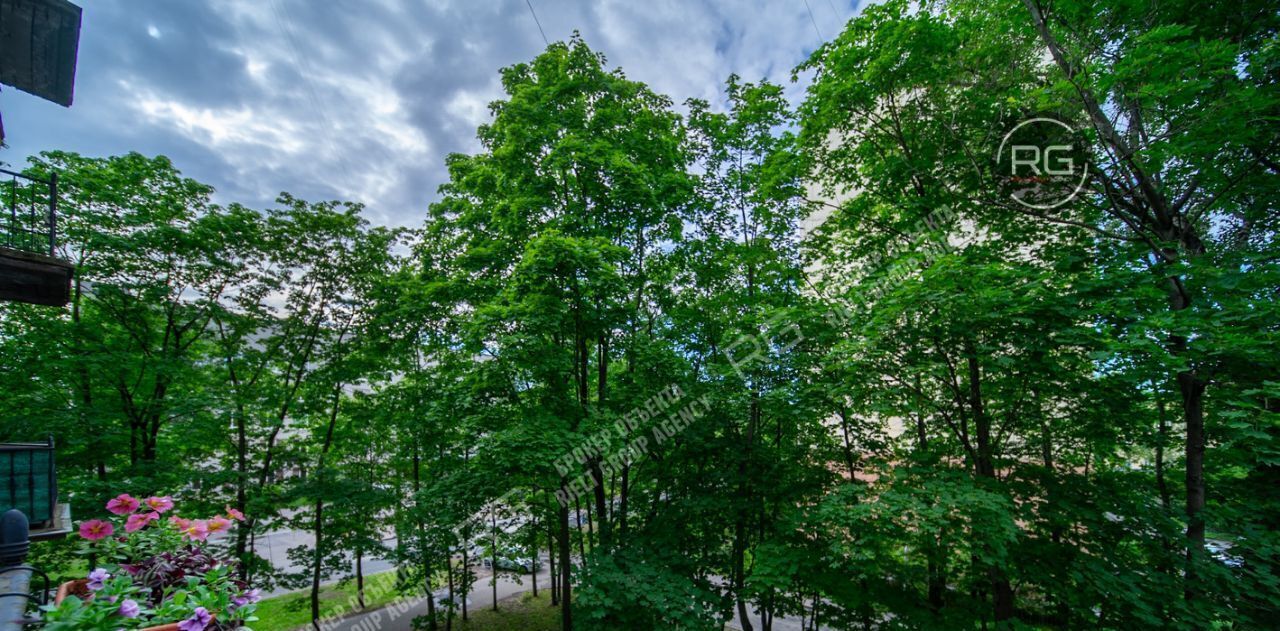 квартира г Санкт-Петербург метро Удельная пр-кт Удельный 31 округ Светлановское фото 31