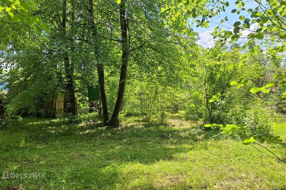 земля р-н Гатчинский городской посёлок Вырица, Ленинградский проспект фото 4