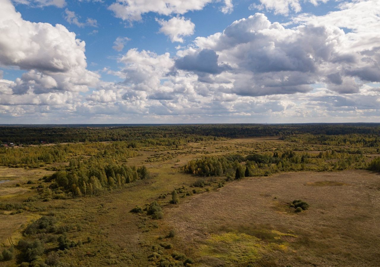 земля городской округ Истра д Алёхново 91, Истра фото 7