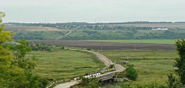 земля р-н Родионово-Несветайский сад Электромонтажник Кутейниковское с/пос фото 1