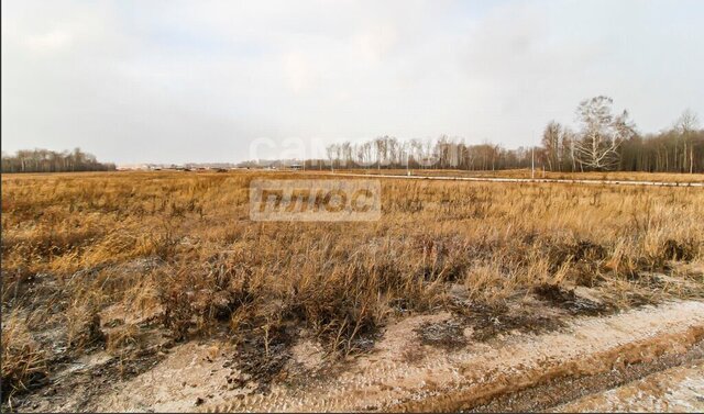 тракт Велижанский 6й километр фото