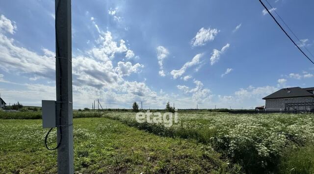 Колтушское городское поселение, Царева Дача кп, Ломоносовская, 72 фото