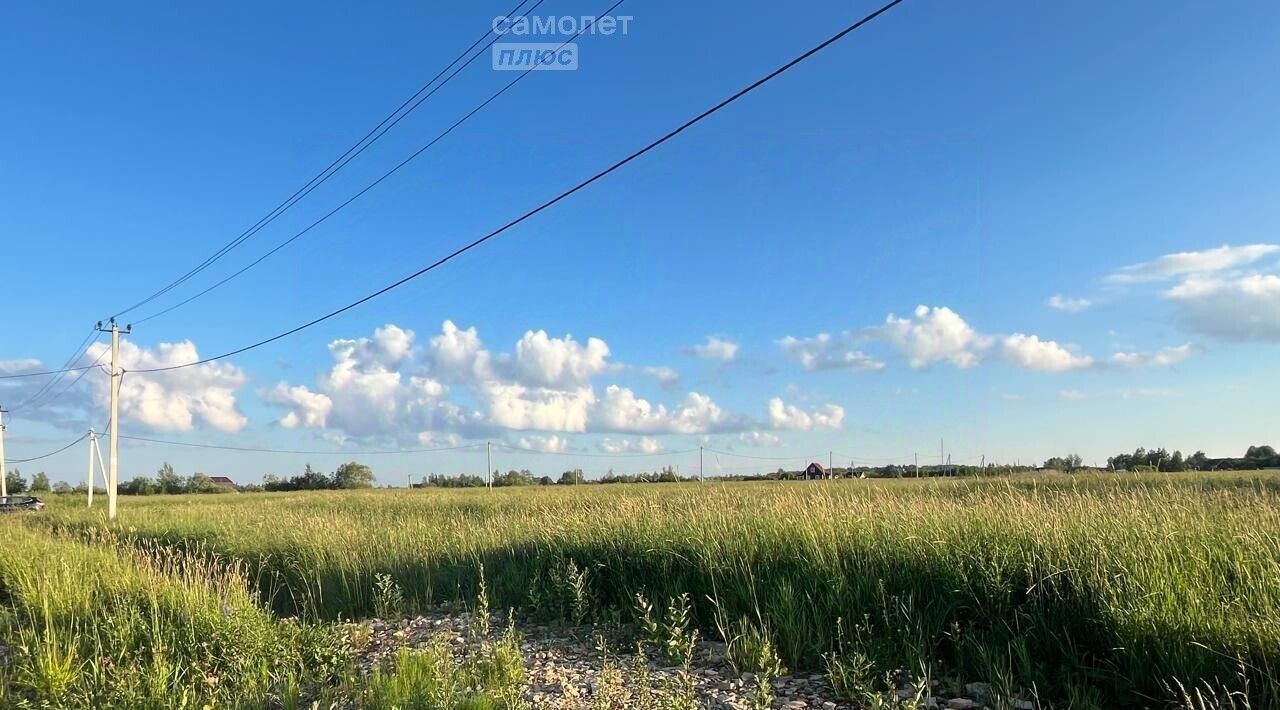 земля р-н Новгородский д Большое Подсонье Борковское с пос фото 3