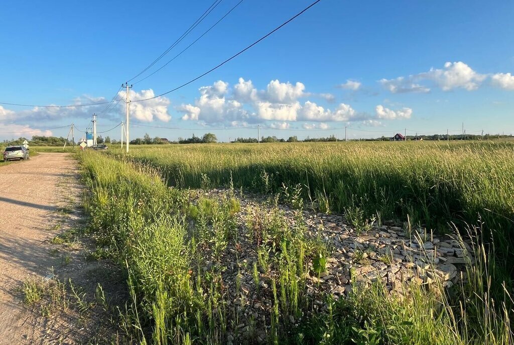 земля р-н Новгородский д Большое Подсонье ул Молодёжная Борковское сельское поселение фото 8