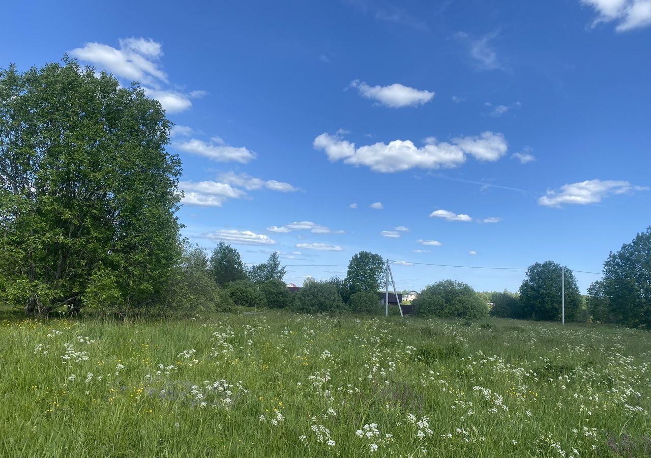 земля р-н Окуловский рп Угловка Угловское городское поселение, д. Горушка фото 3