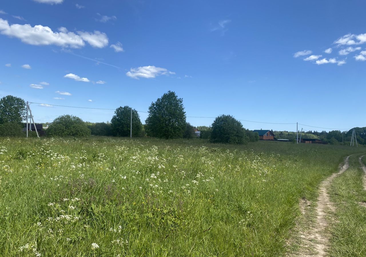 земля р-н Окуловский рп Угловка Угловское городское поселение, д. Горушка фото 5