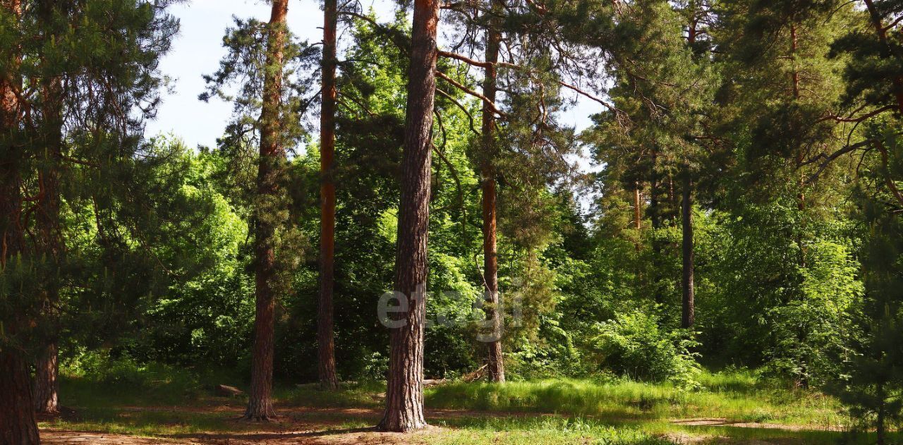 дом р-н Пензенский п Возрождение ул Возрожденская 92 Засечный сельсовет фото 5