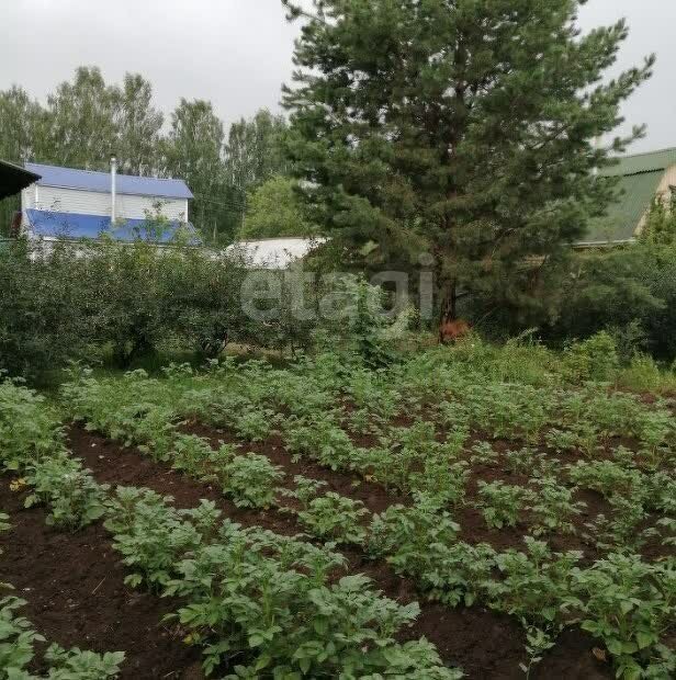 дом р-н Белоярский коллективный сад Хризолитовый, Белоярский городской округ фото 10