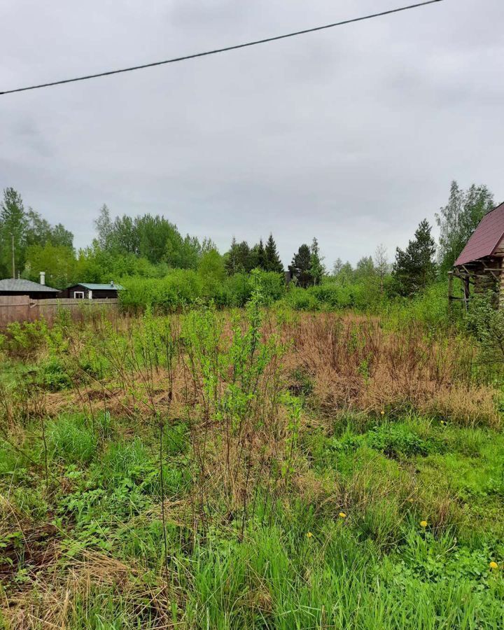 земля р-н Кировский д Муя Московское шоссе, 44 км, Мгинское городское поселение, деревня Старостино, Мга фото 9