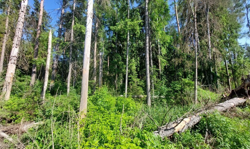 земля р-н Всеволожский г Всеволожск пер Гумилева Улица Дыбенко фото 2