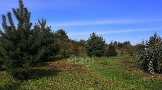 земля Коломна городской округ фото