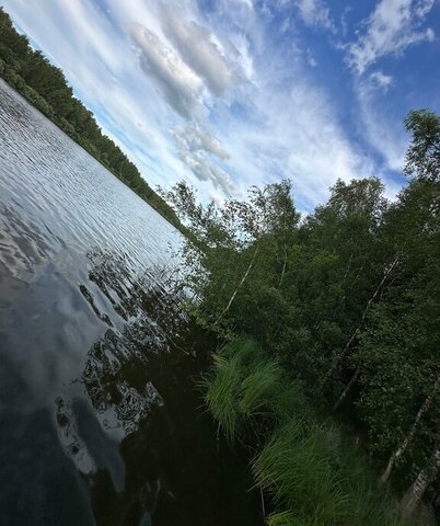 Одинцовский городской округ, СНТ Старт, Зелёная улица фото