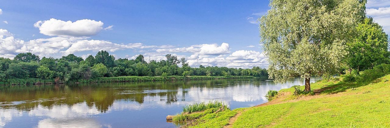 земля городской округ Щёлково д Орлово ул Луговая 125 Красноармейск фото 1