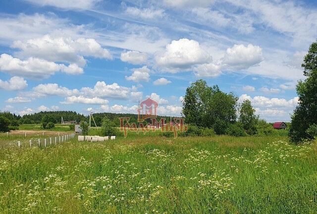 городской округ Дмитровский пос. совхоза Будённовец, Дмитров фото