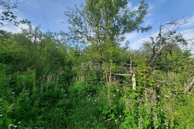 городской округ Саранск, СНТ Любитель фото