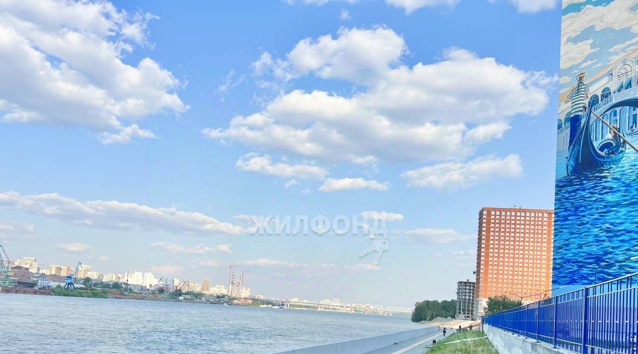 квартира г Новосибирск ул Ясный Берег 17 Красный Проспект фото 24