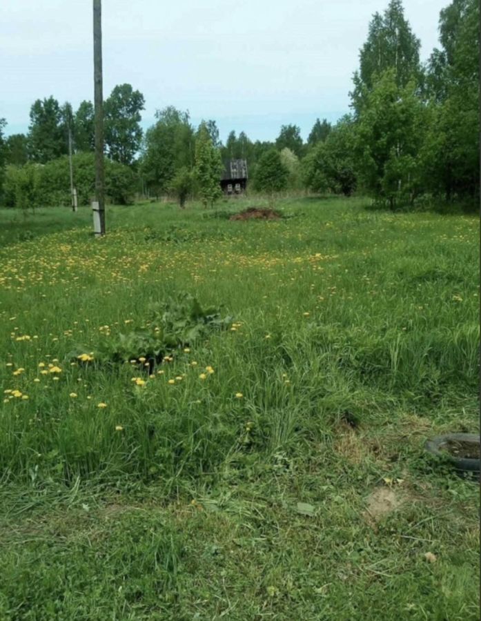 земля р-н Городецкий д. Неболдино, Бор фото 1