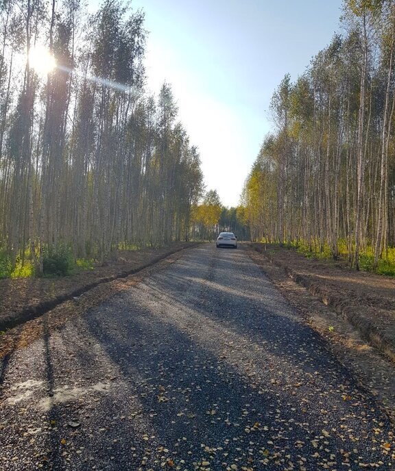 земля городской округ Дмитровский д Афанасово фото 26