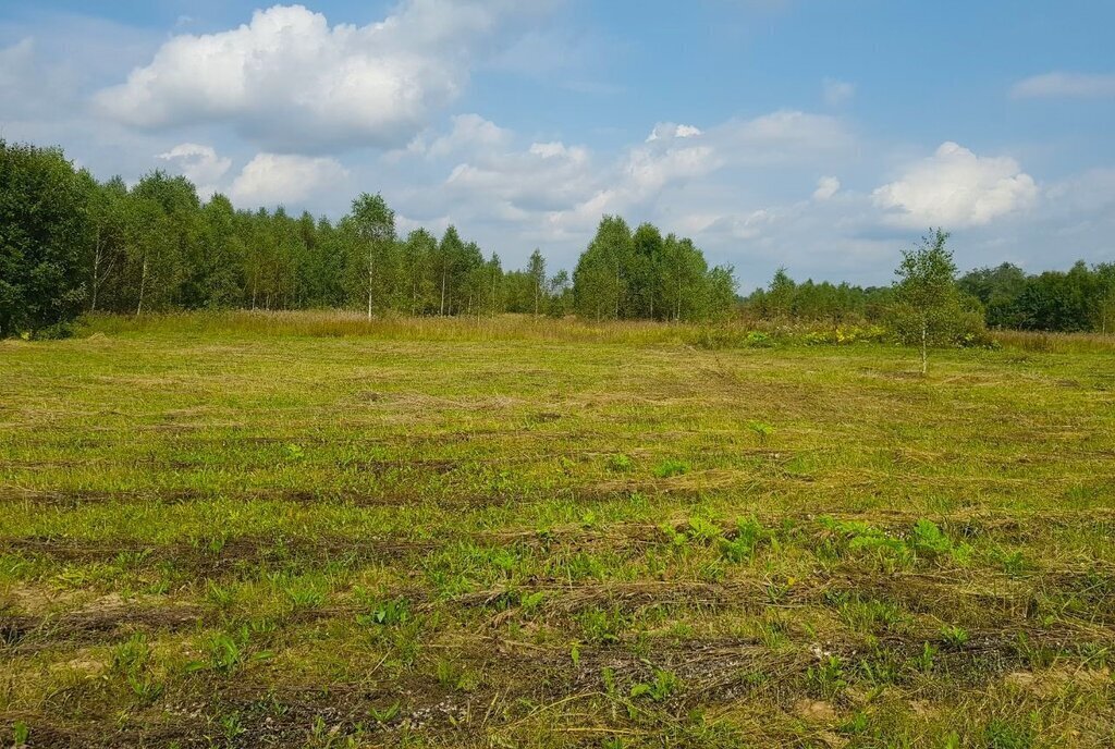 земля городской округ Наро-Фоминский д Тёрновка Апрелевка фото 28