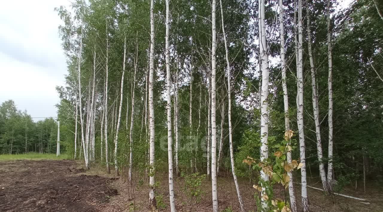 земля р-н Аргаяшский с Кузнецкое ул Школьная пос. Передовик фото 8