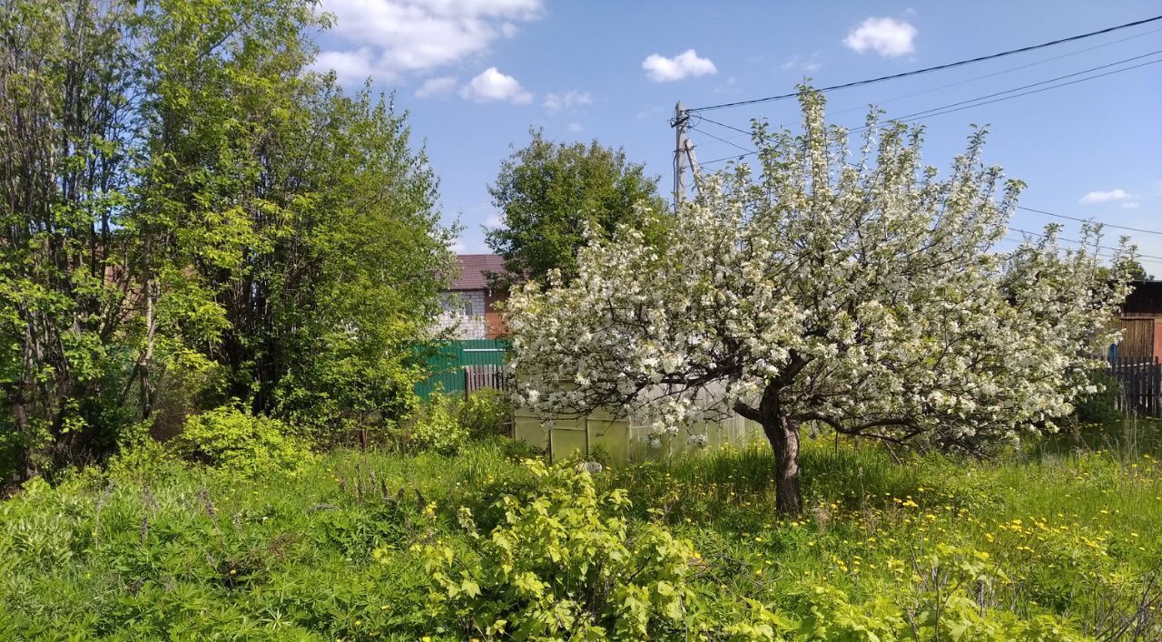 земля г Новосибирск р-н Центральный Площадь Ленина фото 15