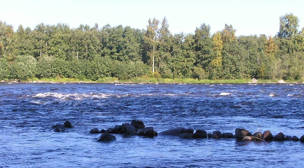 земля р-н Приозерский п Сосново ул Связи фото 4