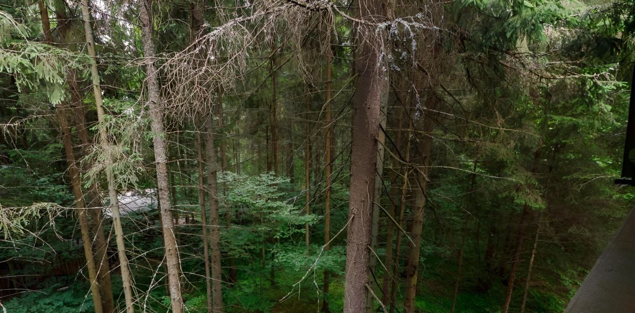 дом г Раменское снт Топаз ДНТ, 112А, Одинцовский городской округ фото 34