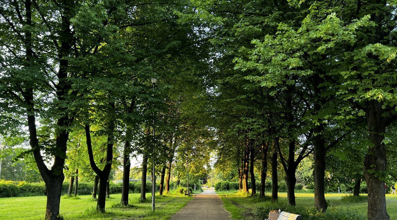 квартира г Санкт-Петербург метро Ладожская пр-кт Энергетиков 62 фото 19