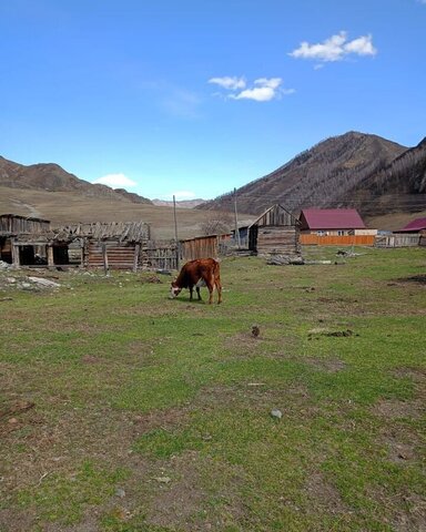 Горно-Алтайск фото