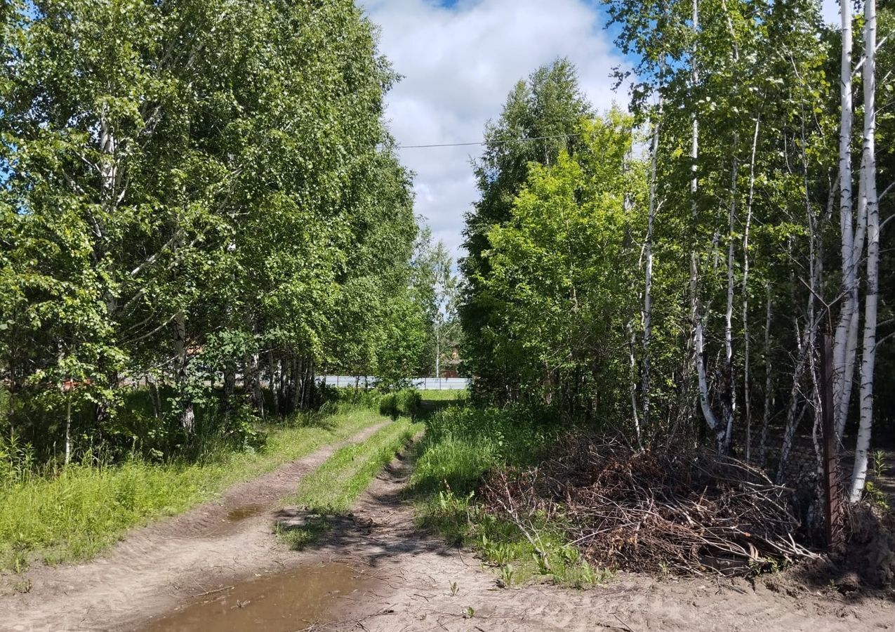 земля г Новосибирск р-н Заельцовский ул Георгиевская фото 3