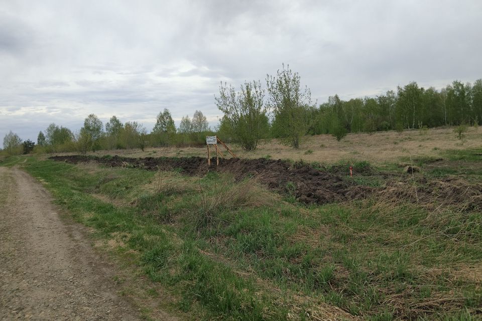 земля городской округ Барнаул, посёлок Бельмесево фото 3