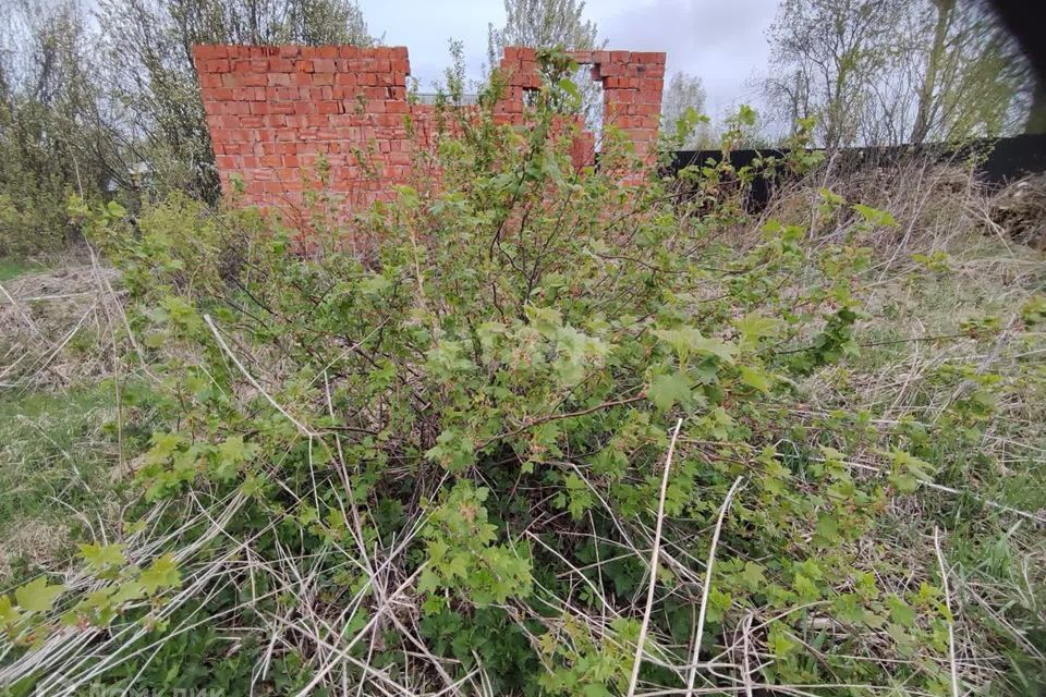 земля р-н Тобольский садоводческое товарищество Дзержинец фото 5