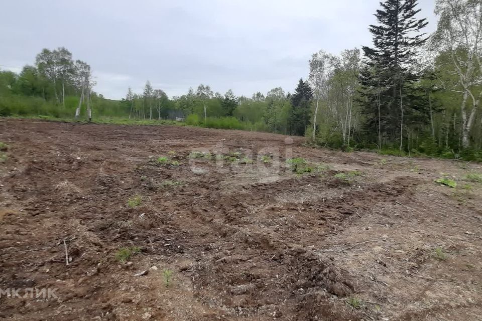 земля городской округ Южно-Сахалинск, СНТ Берёзка-1 фото 2