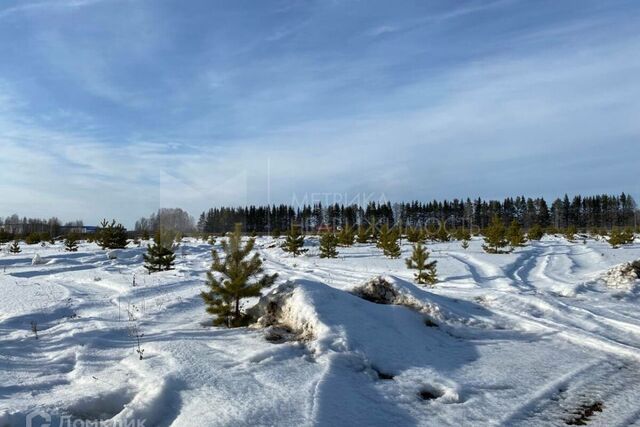 городской округ Тюмень, территория СОСН Калинка, 9-я Вишнёвая улица, 163 фото