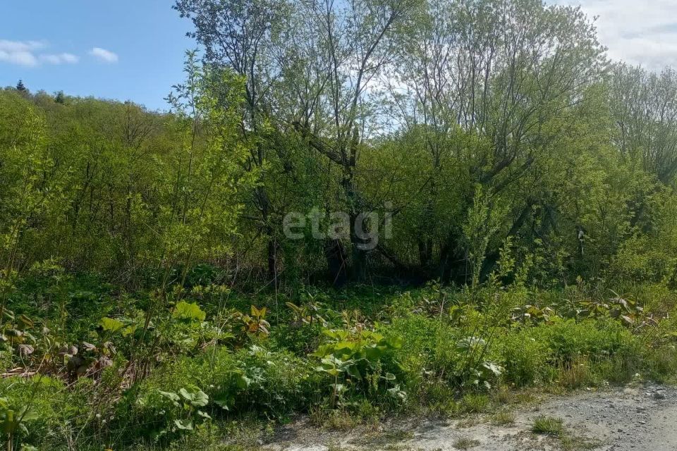 земля г Южно-Сахалинск с Дальнее ул Ударная городской округ Южно-Сахалинск фото 7