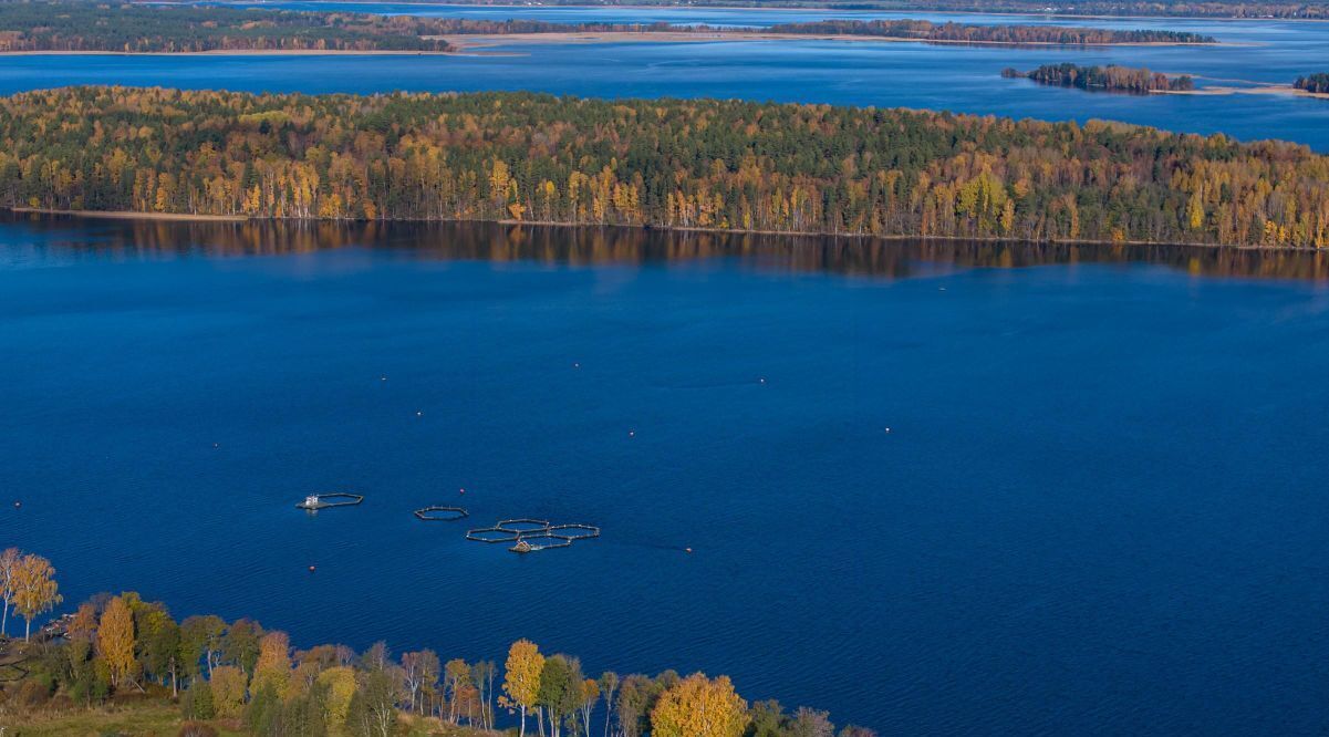 земля р-н Приозерский п Яблоновка с пос, Громовское фото 13