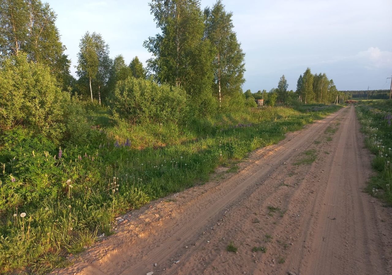 земля р-н Александровский дпк Вески муниципальное образование Андреевское, Александров фото 6