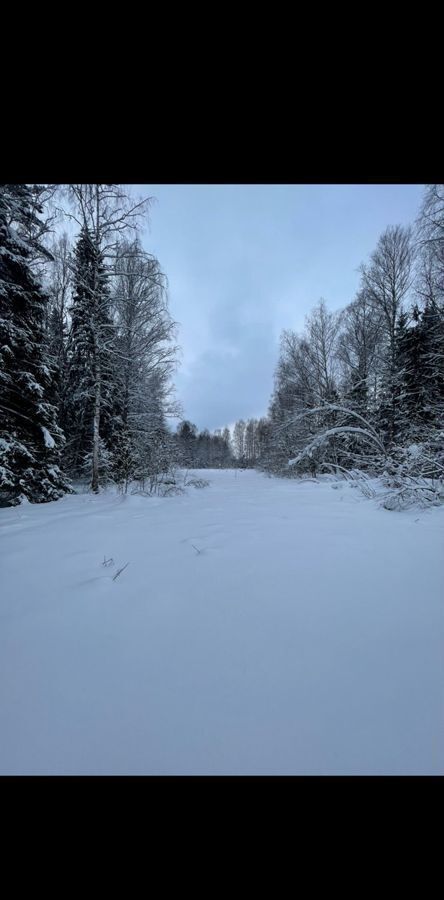 земля городской округ Сергиево-Посадский д Вихрево 7, Сергиев Посад фото 1