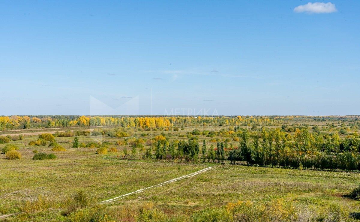 земля г Тюмень р-н Центральный снт Лаванда 10-я ул фото 5