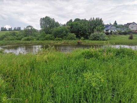 земля городской округ Кашира садовое товарищество Питеренка фото 4