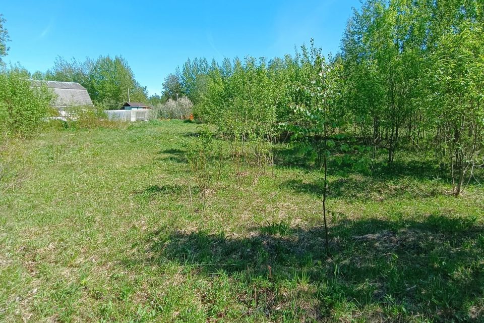 земля р-н Кировский п Молодцово ул Центральная Кировское городское поселение фото 8